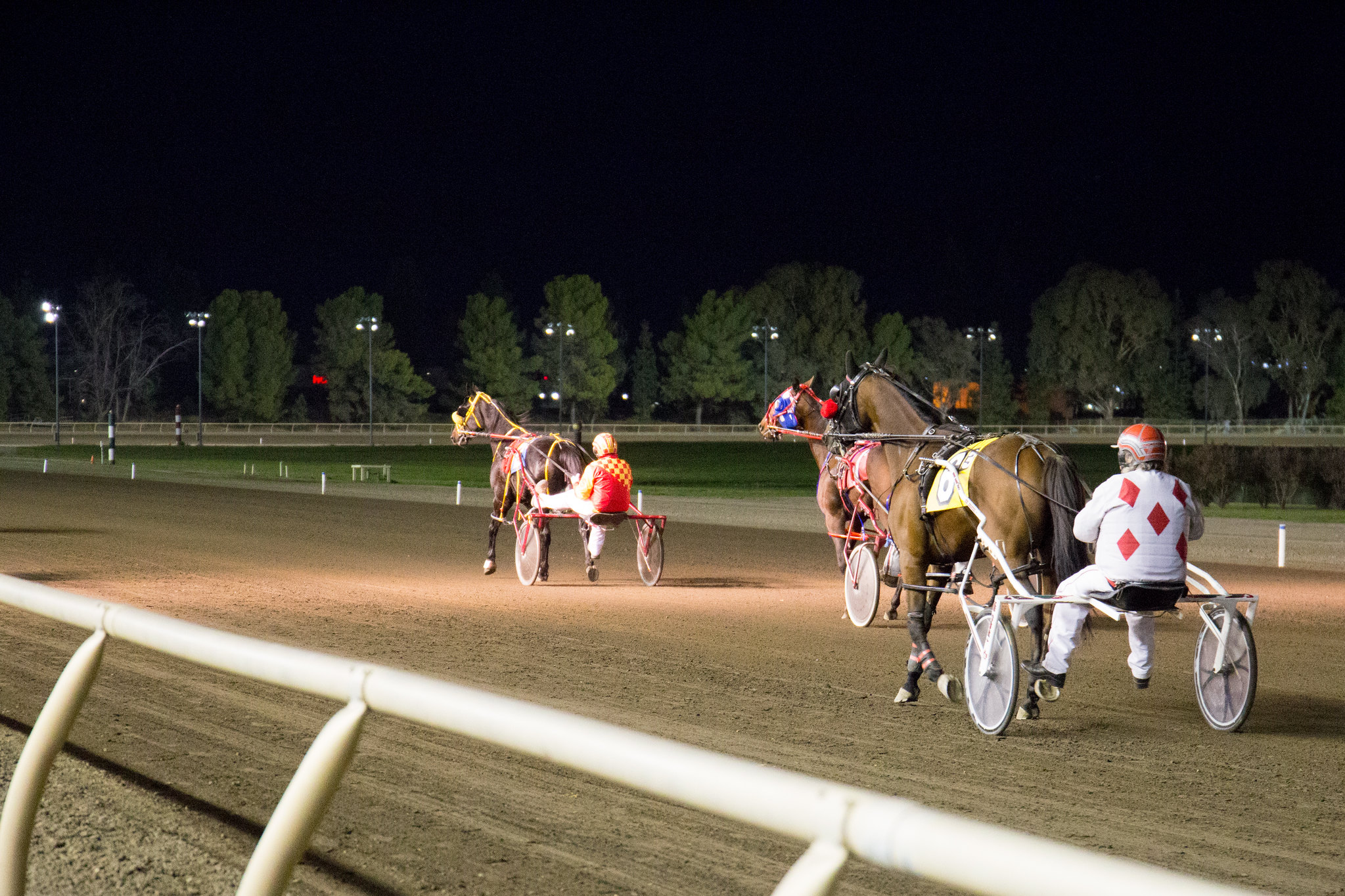 Night time harness racing. Two racers