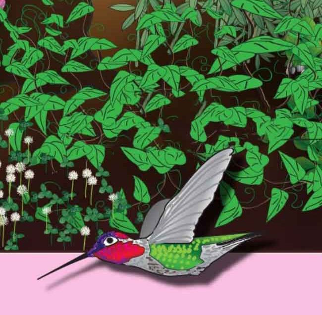 An illustrated humming bird next to leaves