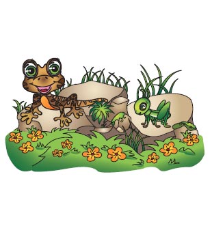 Cartoon frog and grasshopper sitting on rocks and grass