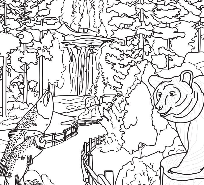 Illustrated bear and fish in a forest