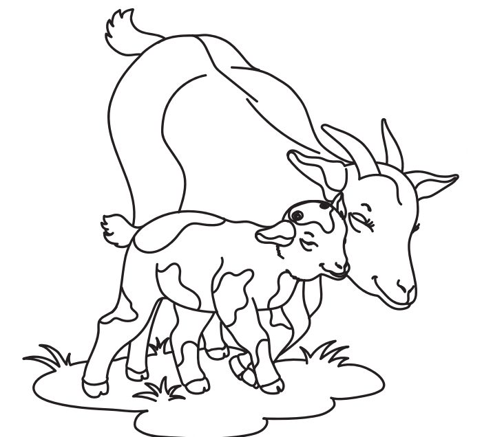 Illustrated mother goat with baby goat kid