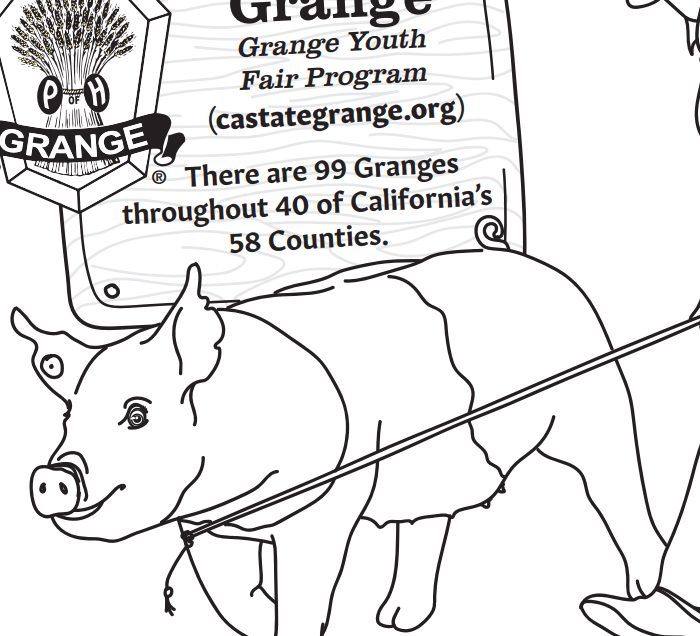 illustrated artwork of a pig