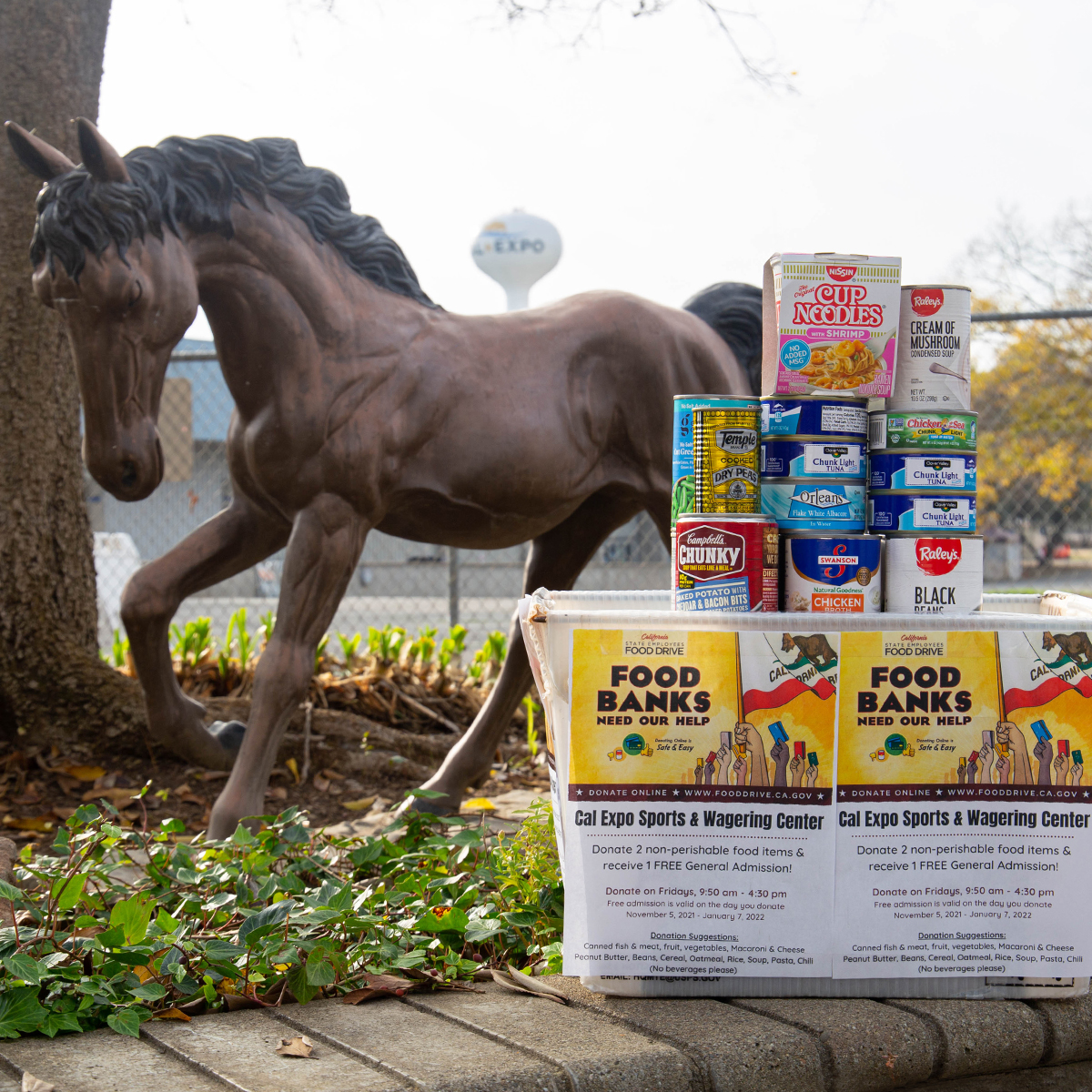 Donated canned foods sitting in a bin in front of a horse statue