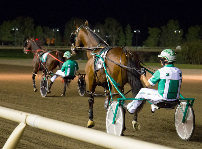 Two horses and jockeys harness racing